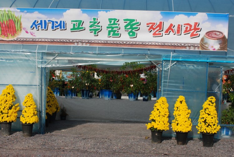 세계 고추 품종 전시관 썸네일