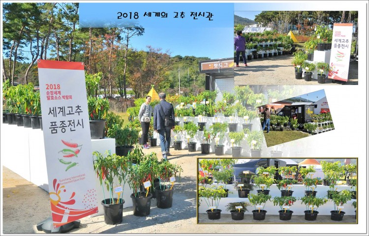 2018 세계의 고추품종 전시관 썸네일