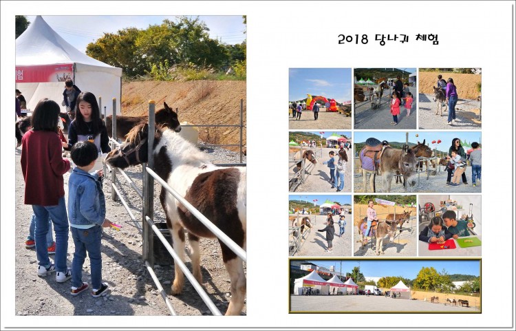 2018 당나귀와의 교감 체험 썸네일