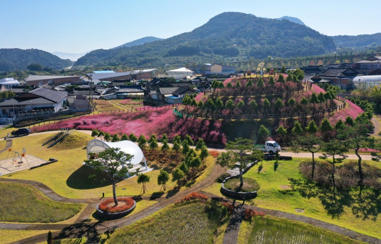 꽃동산 썸네일